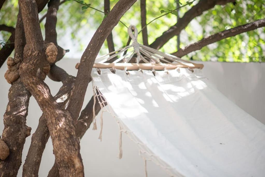 Luxury Studio With Garden Next To Acropolis Aten Exteriör bild
