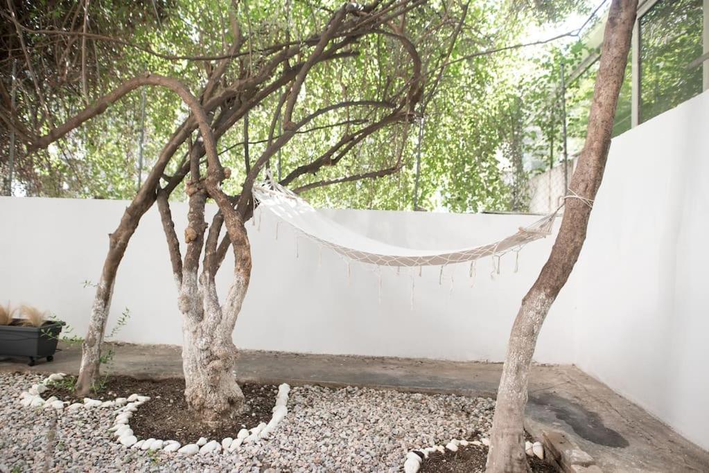 Luxury Studio With Garden Next To Acropolis Aten Exteriör bild